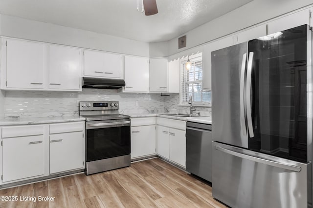 kitchen featuring light wood-style flooring, under cabinet range hood, a sink, appliances with stainless steel finishes, and backsplash