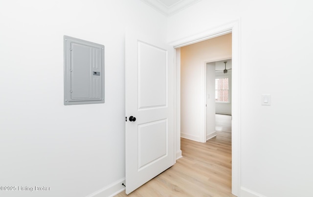 hall with light wood finished floors, electric panel, baseboards, and crown molding