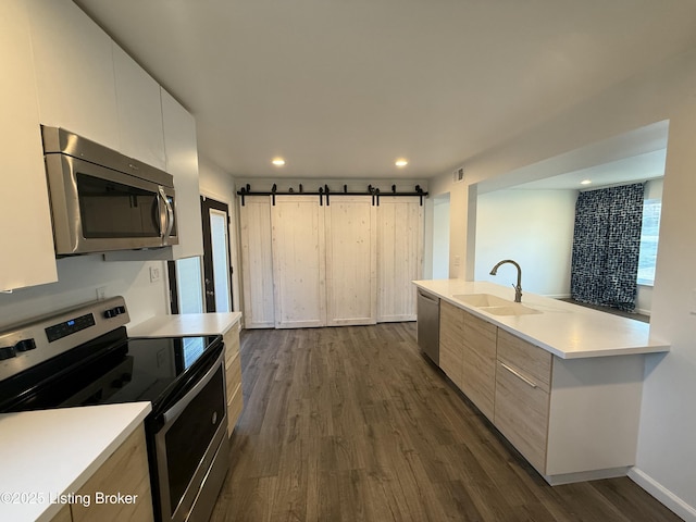 kitchen with a barn door, stainless steel appliances, a sink, modern cabinets, and dark wood finished floors