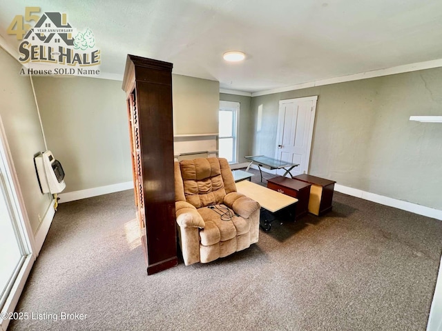 sitting room featuring ornamental molding, carpet, heating unit, and baseboards