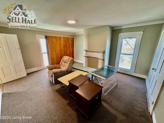 living area featuring carpet and baseboards