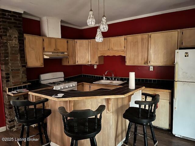 kitchen with white appliances, tile countertops, dark wood-style flooring, under cabinet range hood, and a sink