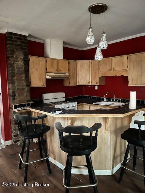 kitchen with under cabinet range hood, white range with gas stovetop, a peninsula, a sink, and dark wood finished floors