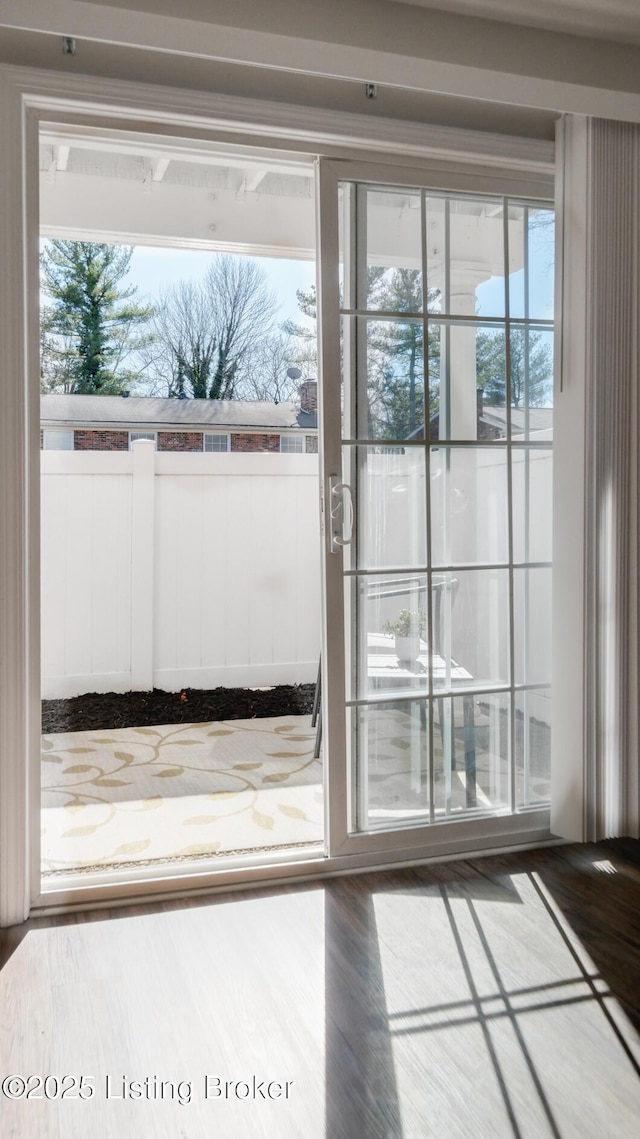 entryway with plenty of natural light and wood finished floors