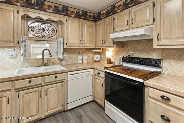 kitchen featuring dark wood-type flooring, white dishwasher, under cabinet range hood, a sink, and range with electric stovetop