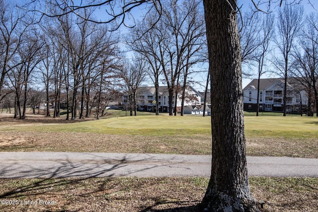 2509 Chatsworth Dr, Elizabethtown, KY 42701 - photo 84