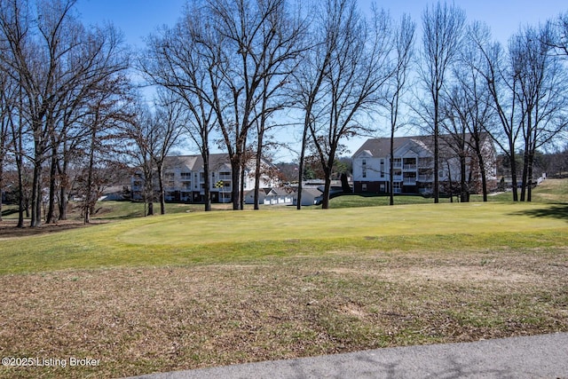 2509 Chatsworth Dr, Elizabethtown, KY 42701 - photo 85