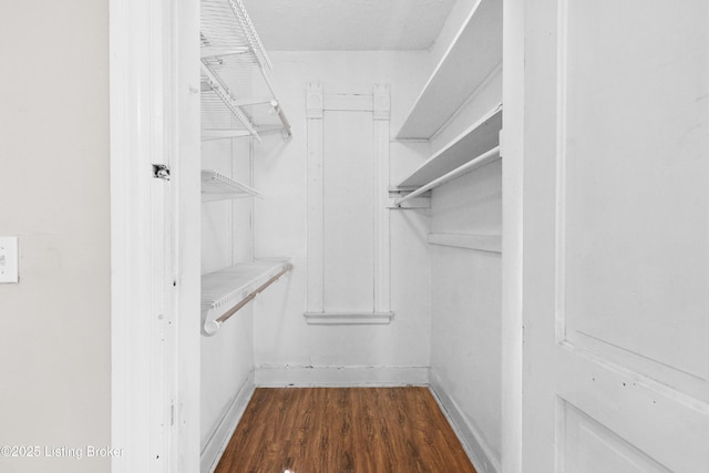 walk in closet featuring dark wood finished floors