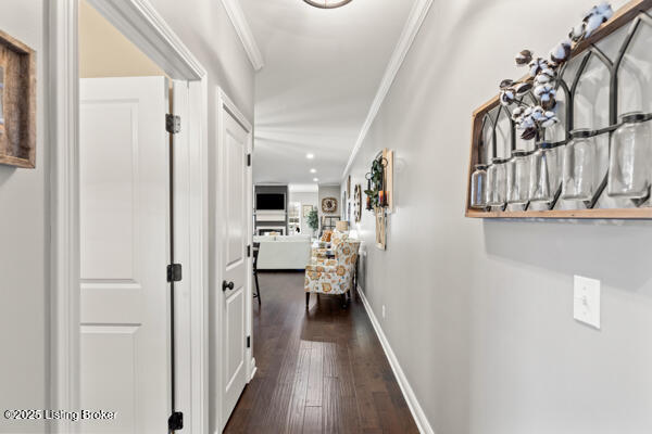 corridor with baseboards, dark wood-type flooring, and crown molding