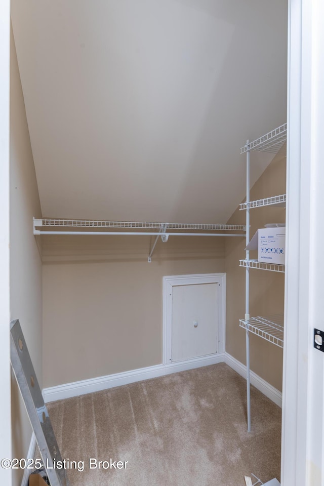 spacious closet featuring lofted ceiling and carpet flooring