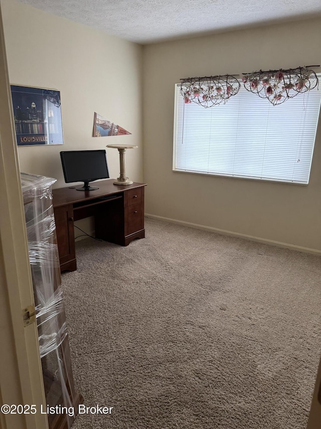 office featuring carpet floors, baseboards, and a textured ceiling