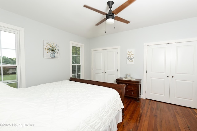 bedroom featuring multiple windows, a ceiling fan, multiple closets, and wood-type flooring