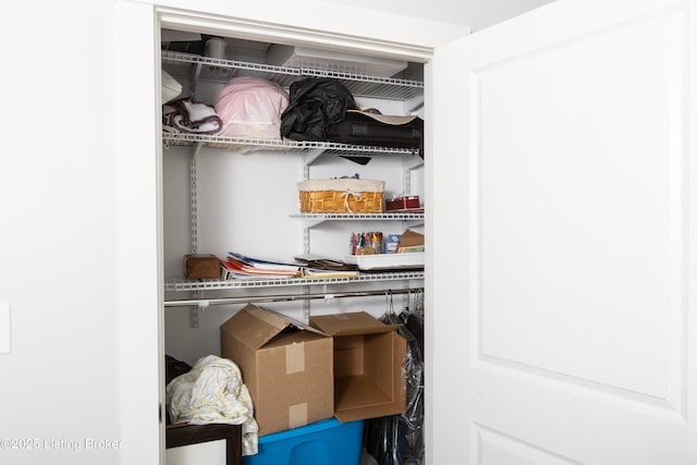 view of closet