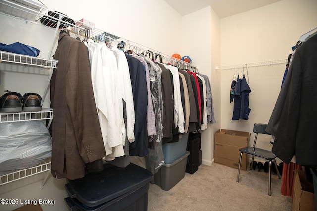 spacious closet with carpet flooring