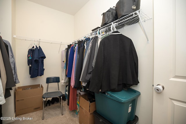 walk in closet featuring carpet floors