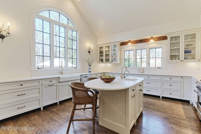 kitchen with dark wood-style floors, an island with sink, lofted ceiling, and a sink