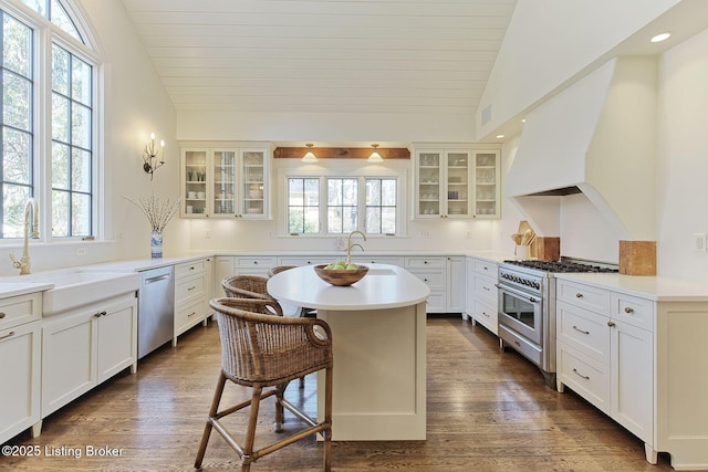 kitchen with dark wood-style floors, a center island with sink, lofted ceiling, a sink, and stainless steel appliances