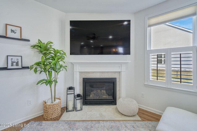 living area featuring wood finished floors, plenty of natural light, a fireplace, and baseboards