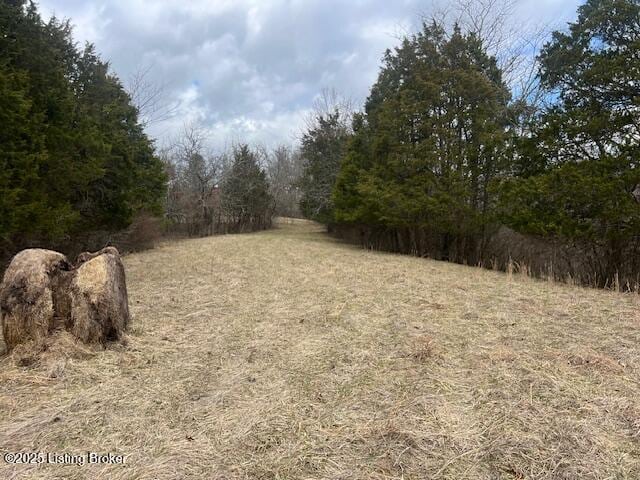 Listing photo 3 for 1180C Pattons Creek Rd, Pendleton KY 40055