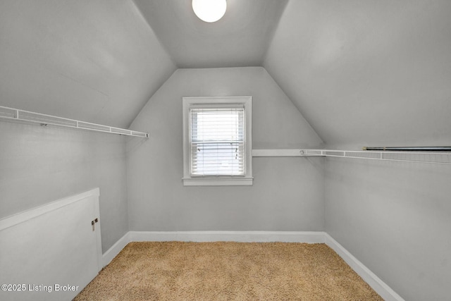 spacious closet featuring lofted ceiling and carpet