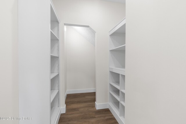 walk in closet with dark wood-style flooring