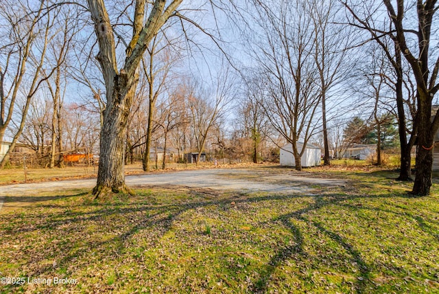 view of yard with an outdoor structure and a shed