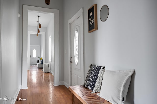 foyer with baseboards and wood-type flooring