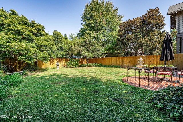 view of yard featuring a patio area and a fenced backyard