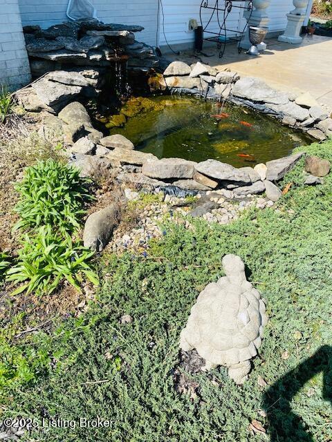 view of yard with a small pond