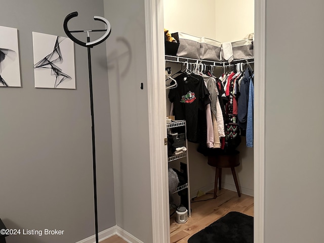 walk in closet featuring wood finished floors