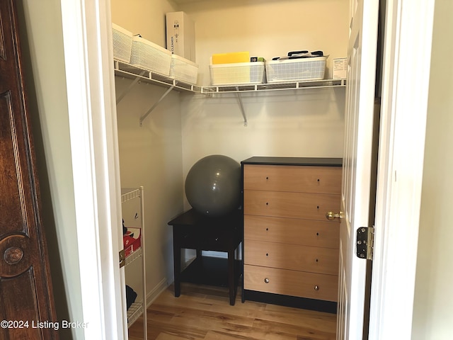 walk in closet with light wood finished floors