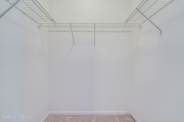 spacious closet featuring light carpet