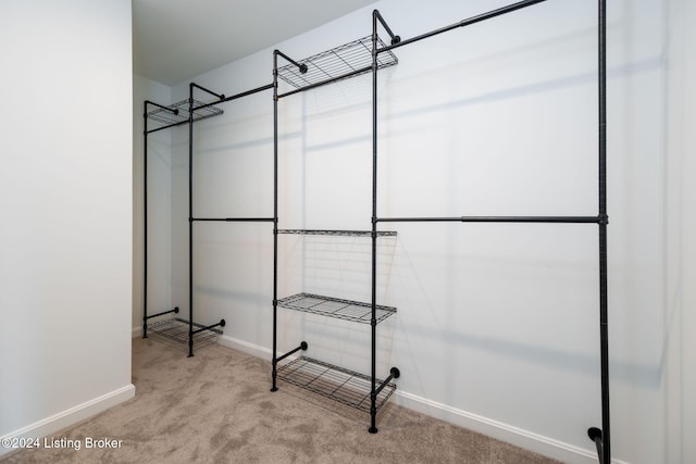 spacious closet featuring carpet