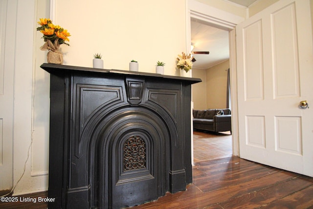 room details with a fireplace and wood finished floors