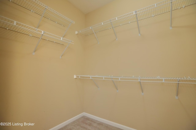 spacious closet with carpet