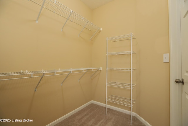 spacious closet with carpet