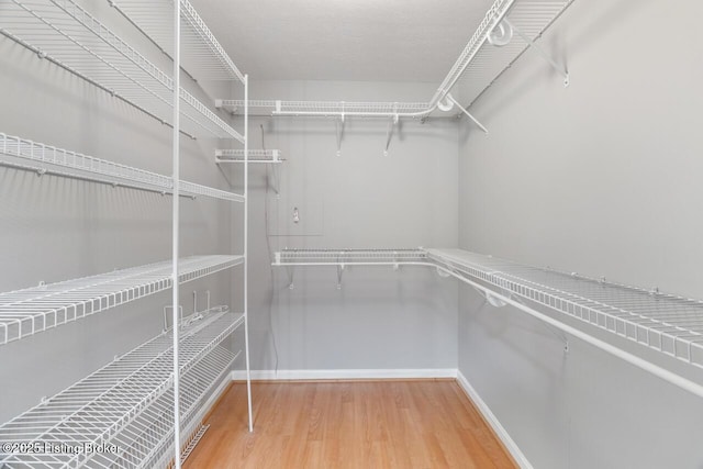 walk in closet with wood finished floors