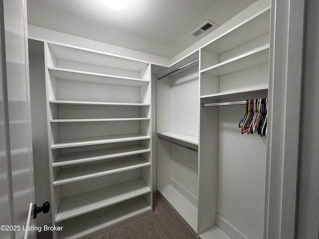 spacious closet with visible vents and carpet flooring