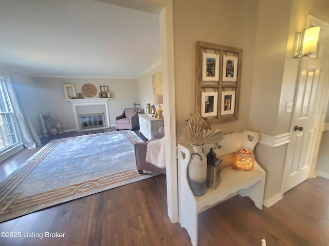 interior space featuring wood finished floors