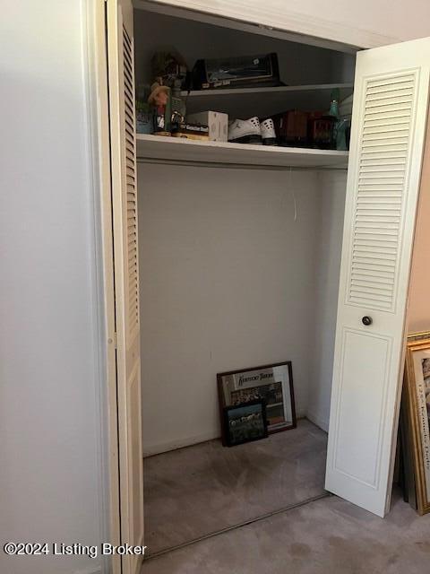 view of closet