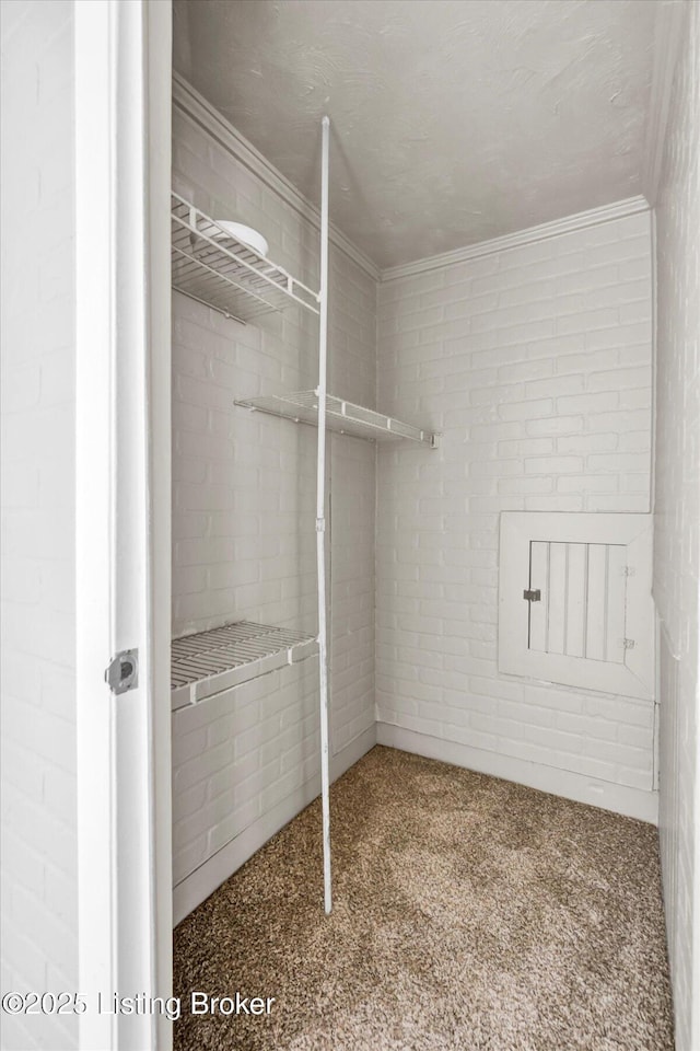 spacious closet featuring carpet floors