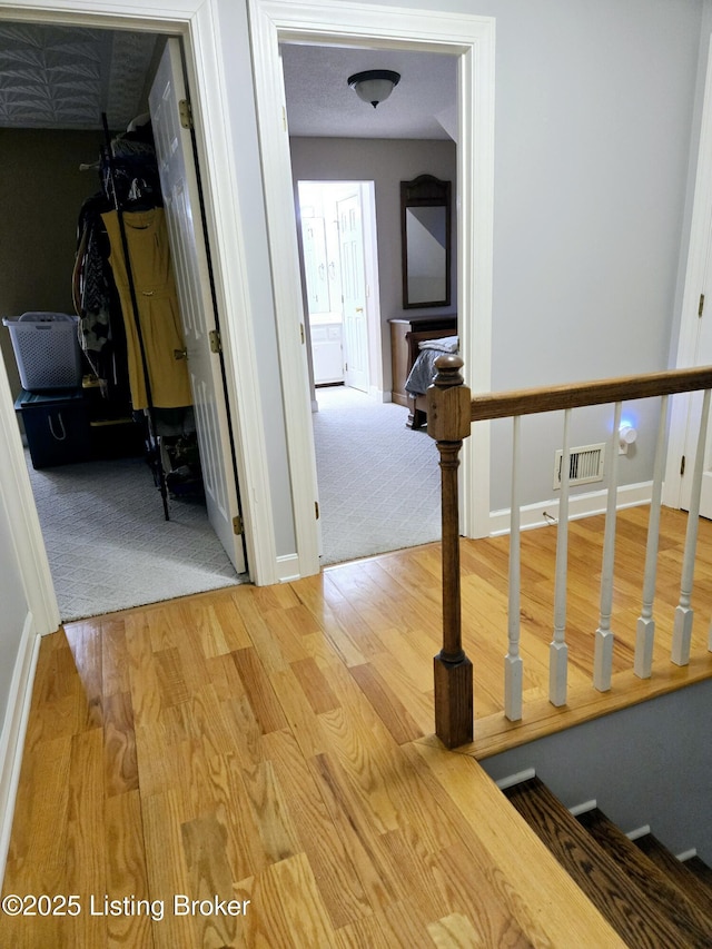 hall with carpet floors, visible vents, baseboards, and wood finished floors