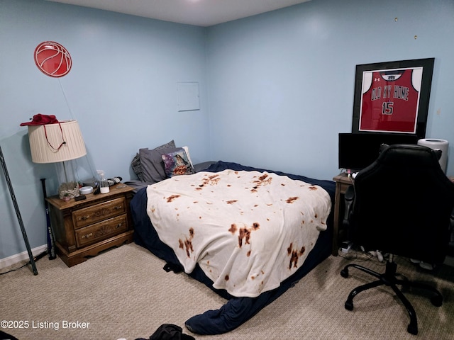 bedroom with carpet floors