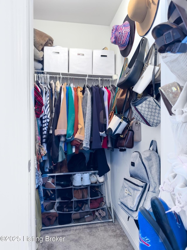 spacious closet featuring carpet floors