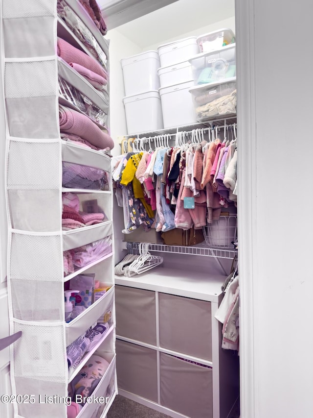 view of spacious closet