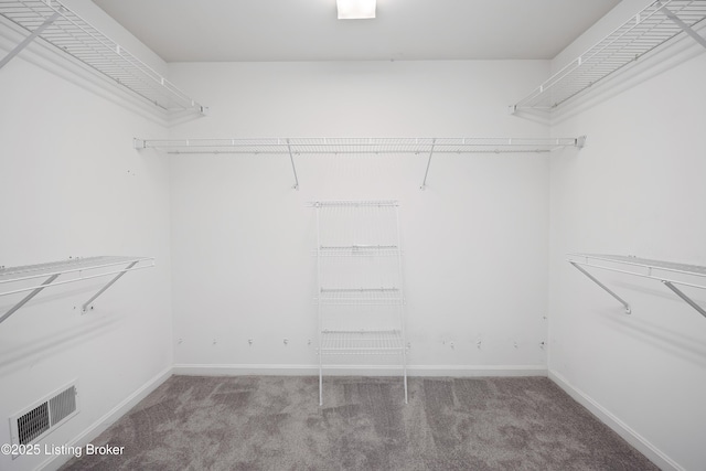 walk in closet featuring carpet floors and visible vents