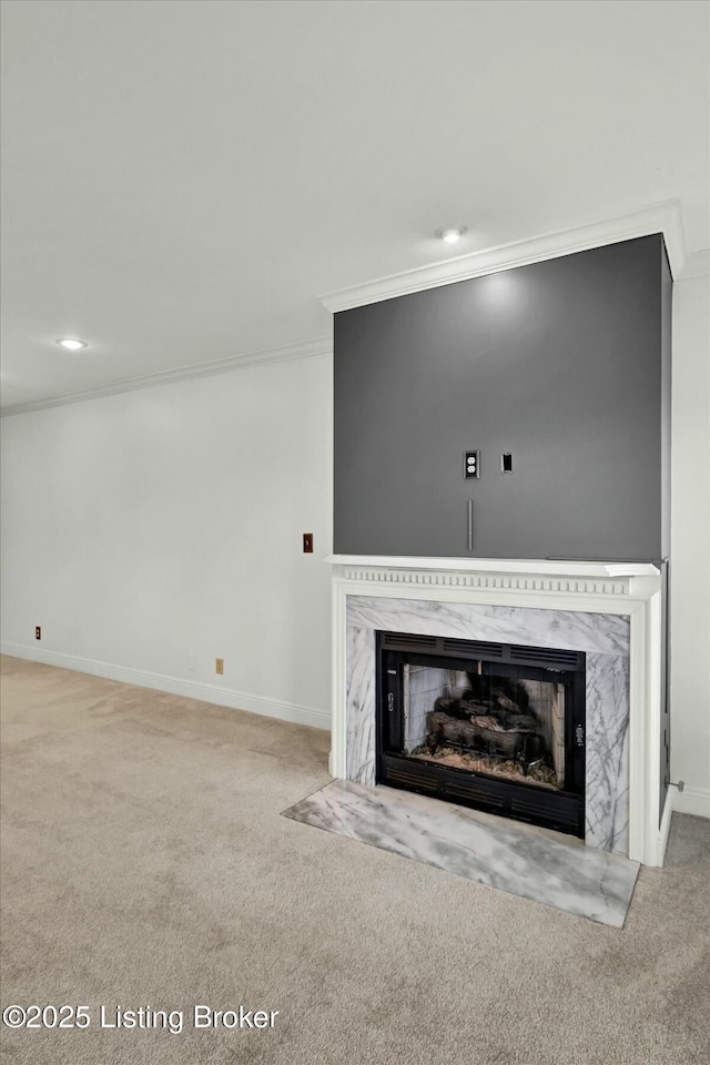 details featuring baseboards, a premium fireplace, ornamental molding, and carpet flooring