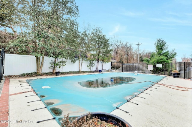 view of pool featuring a fenced in pool, a patio area, and a fenced backyard