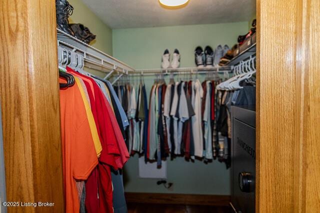 view of spacious closet