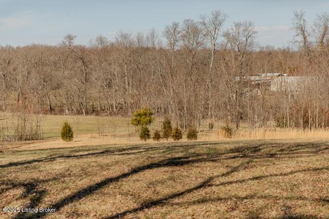 view of local wilderness featuring a rural view